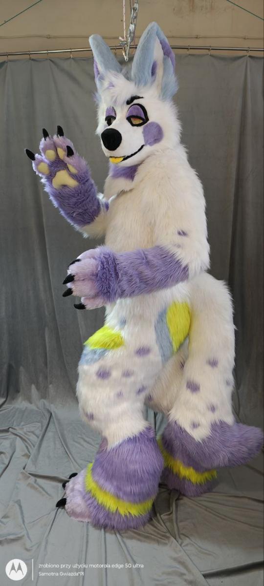 photo 79 2025-08-23 12-12-57