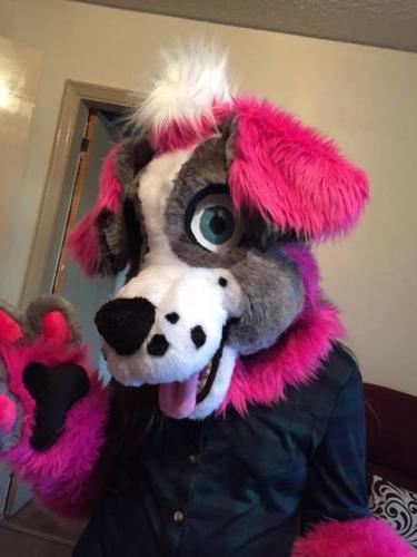 17141338 163509257492429 533450831 n