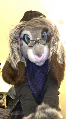 17668868 1167561990019209 906674047 o