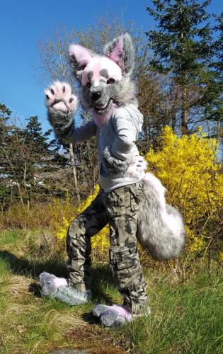 18261146 120332000516150594 1923433760 o