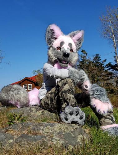 18261368 120332000463801319 1539056467 o