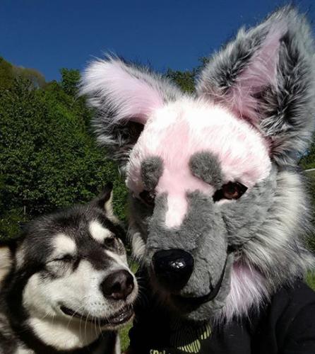 18670772 1845432652139061 6070594931151854043 n