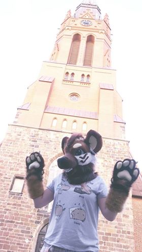 20217380 1924935794449355 321374315 n