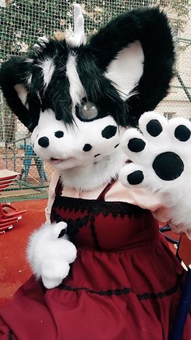 20938685 1786310311383723 2000549453 n