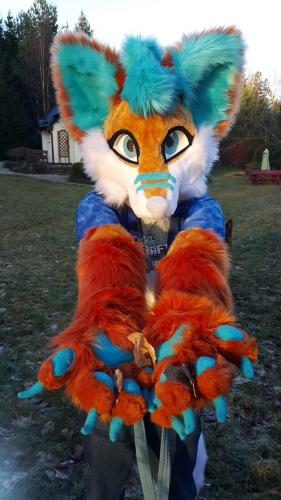 26112023 173463200053882 263008377154846971 n