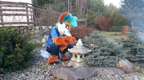 26166509 173463420053860 8640579490038272297 n