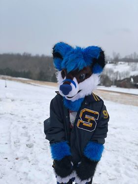 26914314 1531301500324249 1010587433 n