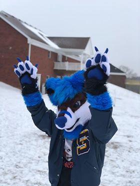 26940801 1531301486990917 165545208 n