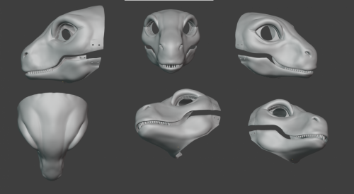 Raptor